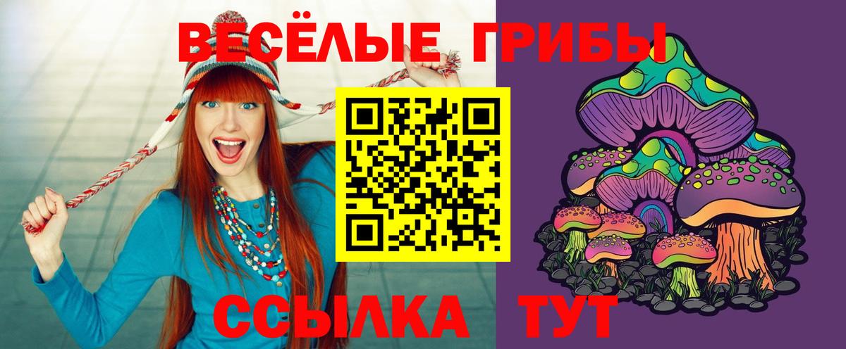купить  цена  Галлюциногенные грибы мухоморы  Псилоцибиновые грибы мицелий  Вход с VPN  Туапсе 